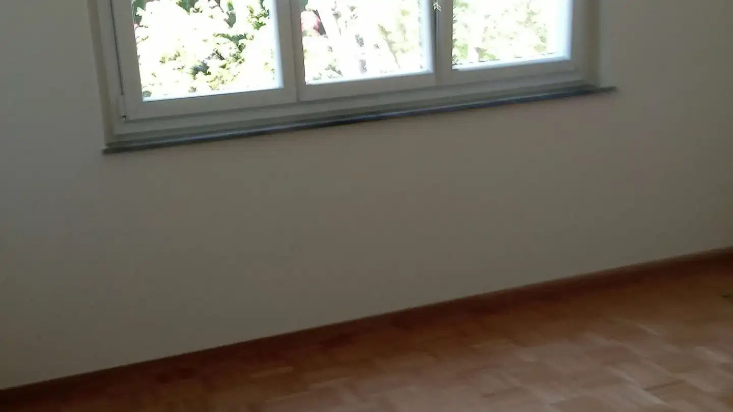 Appartement à louer - 8181 Höri - Photo 2