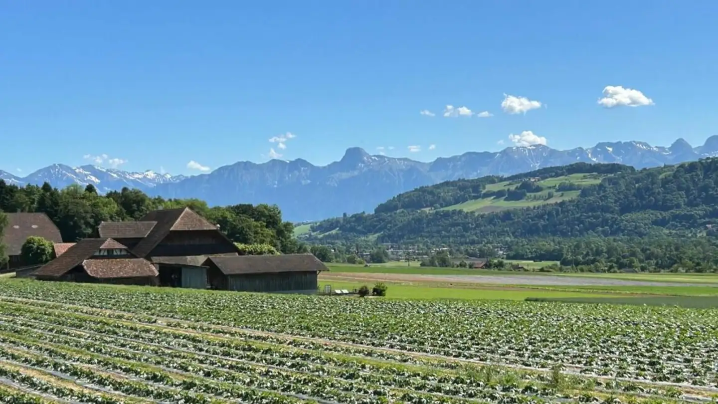 Apartment for sale - Wydacherstrasse 1, 3113 Rubigen - Photo 3