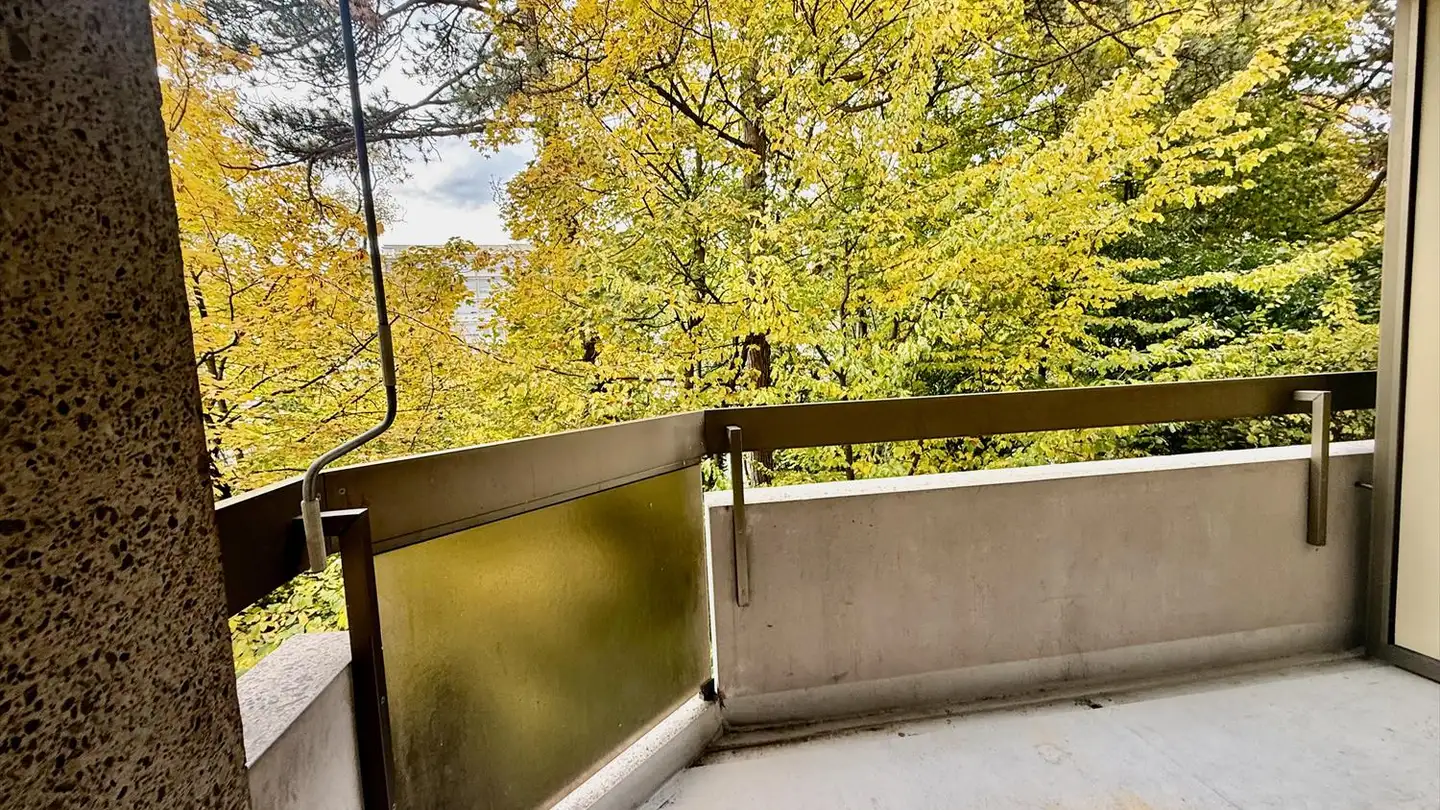 Appartamento in affitto - Route de Malagnou, 1208 Genève