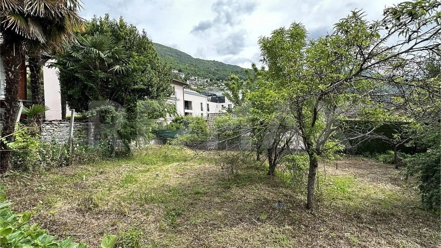 Terreno edificabile in vendita - 6648 Minusio - Foto 3