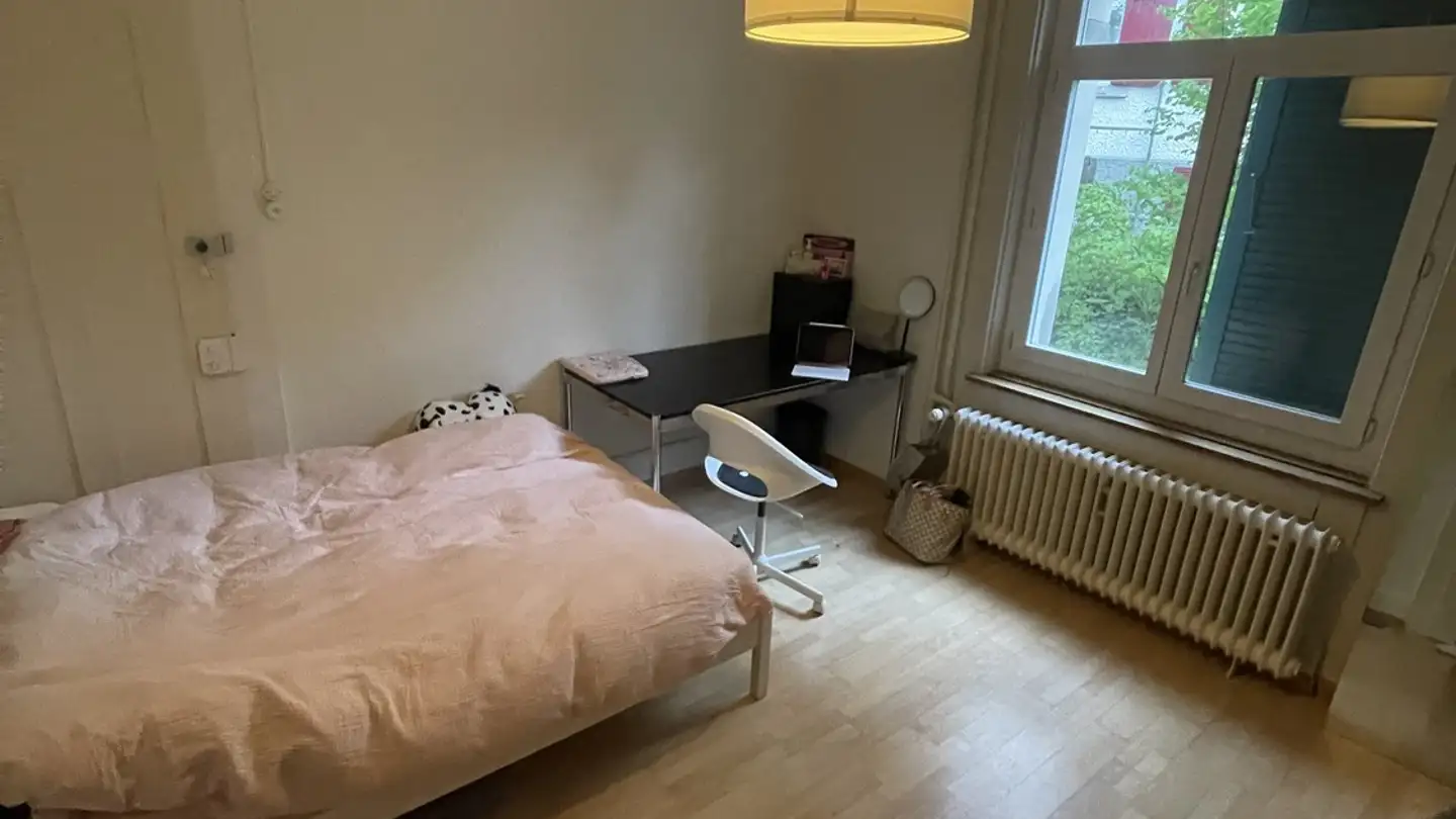 Chambre à louer - Wartensteinstrasse 4, 9000 St. Gallen - Photo 3