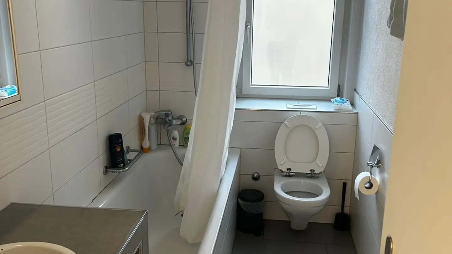 Chambre à louer - Jungholzstrasse 20, 8050 Zürich - Photo 4