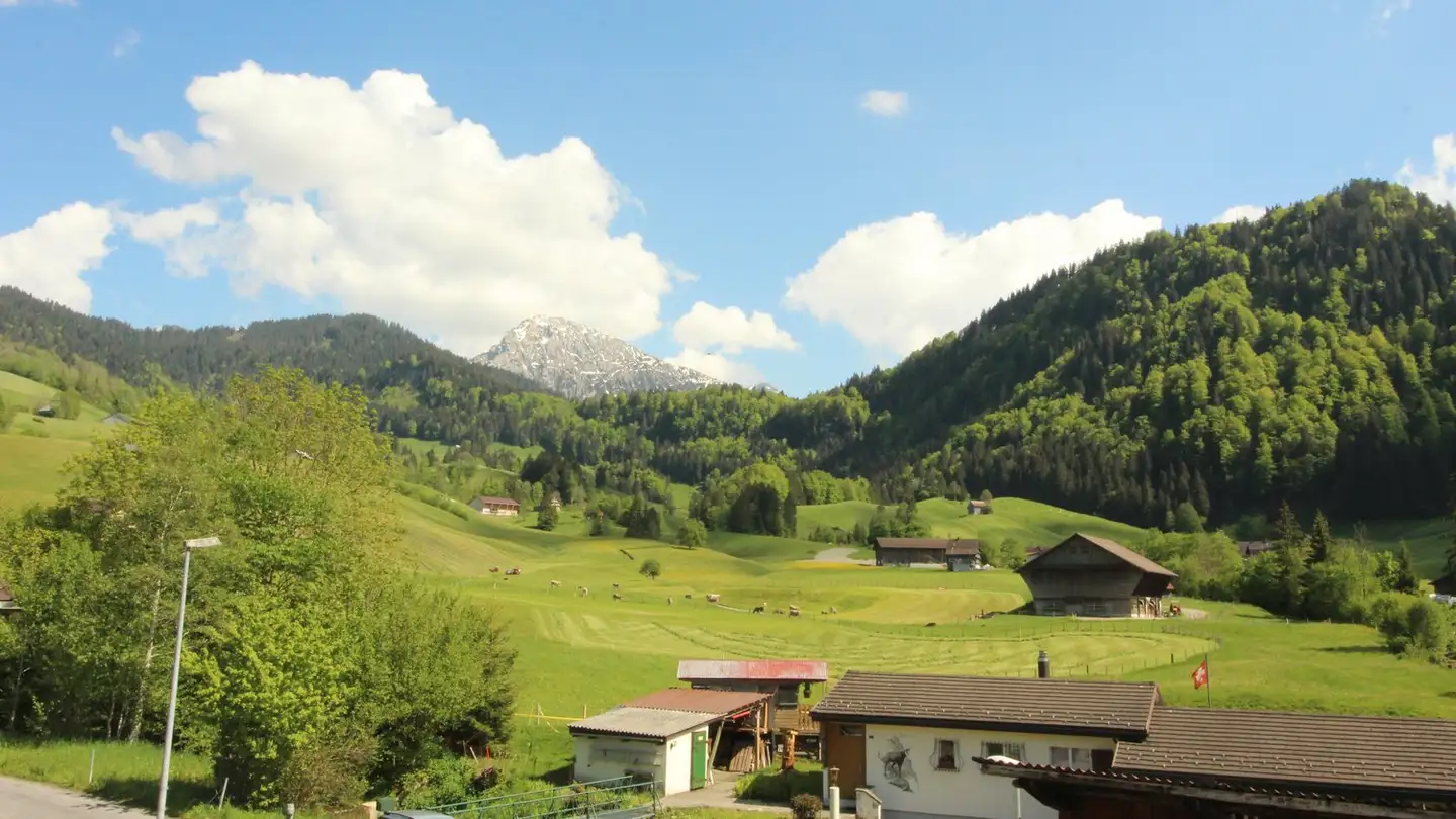 Appartement à louer - Bächweidstrasse 3, 8857 Vorderthal