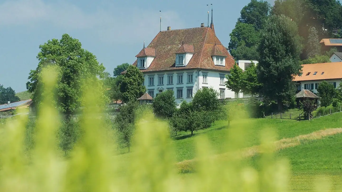 Penthouse for rent - Wuhlstrasse 110, 3068 Utzigen