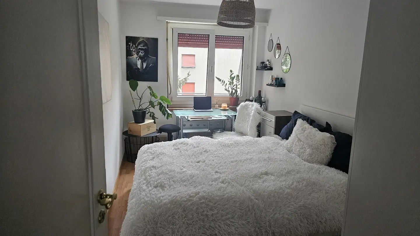 Chambre à louer - 8055 Zürich