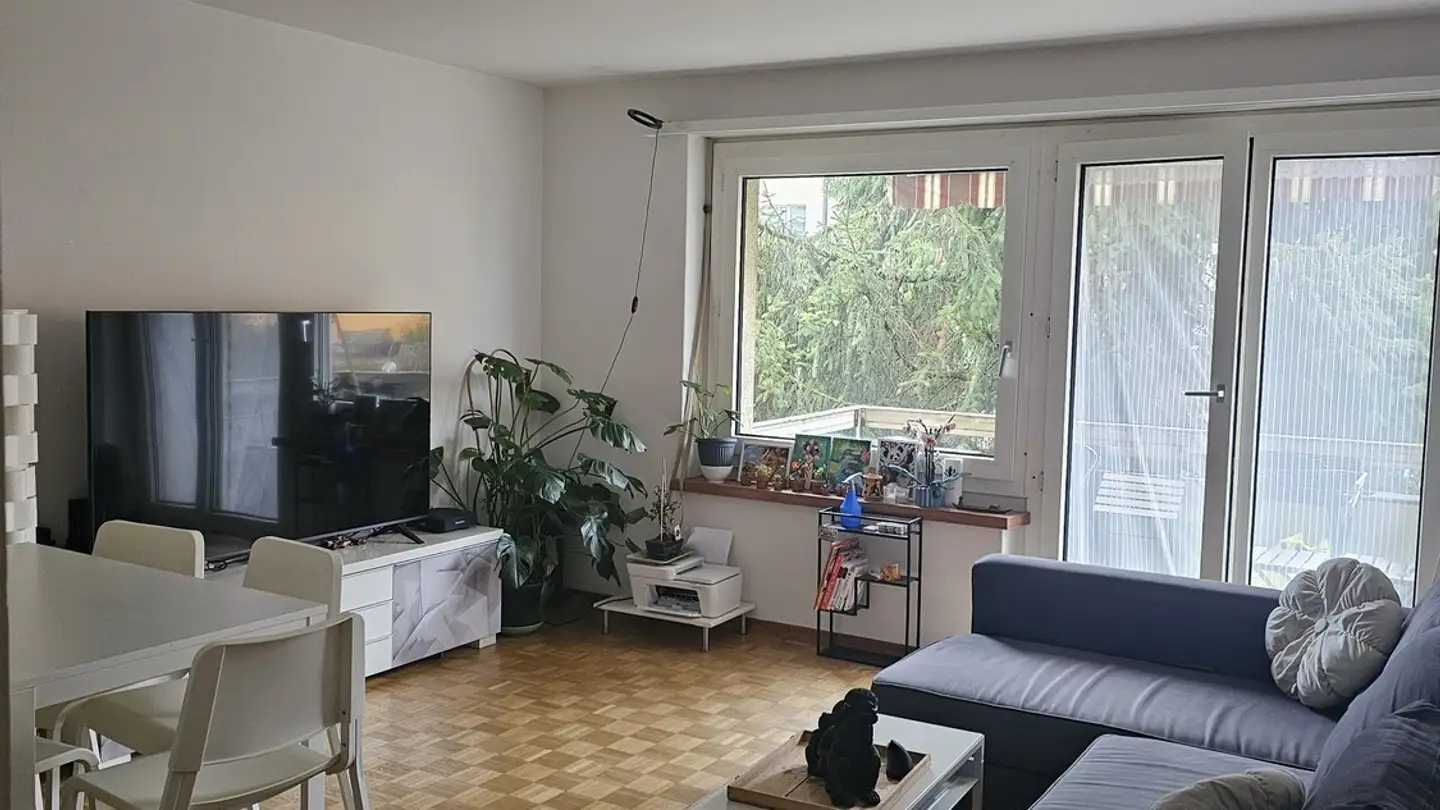 Chambre à louer - 8055 Zürich - Photo 2