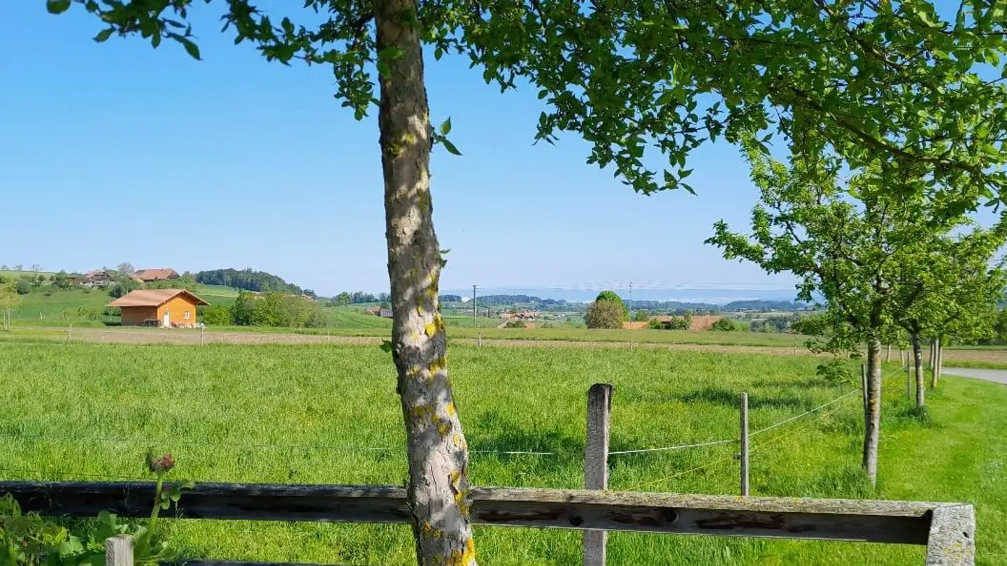 Apartment for rent - Fuhrenweg 569, 3154 Rüschegg Heubach