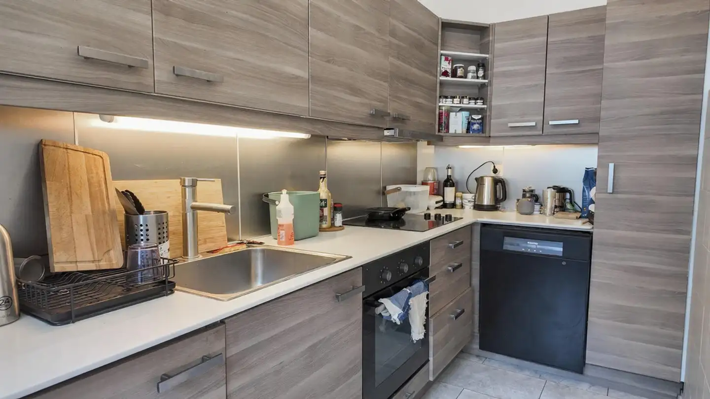 Appartamento in affitto - Rue De Bâle, 1201 Genève - Photo 2