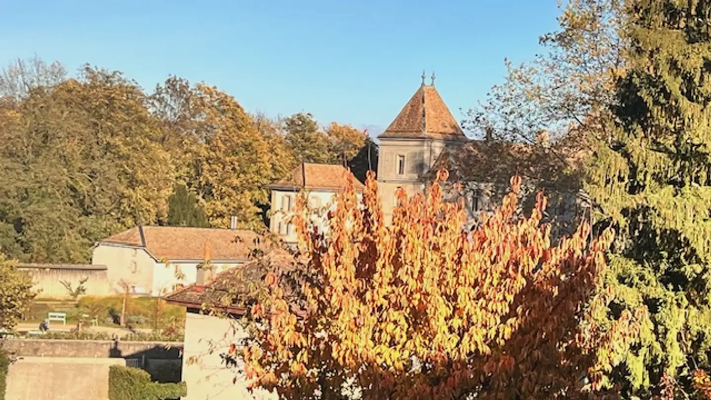 Maison individuelle à vendre - 1197 Prangins - Photo 3