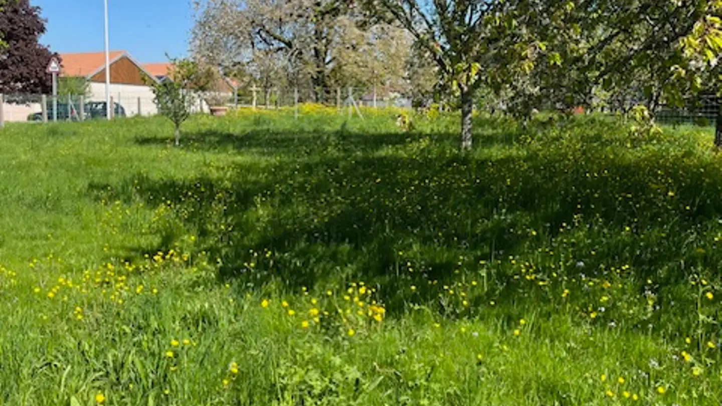 Casa in vendita - Bure, 2915 Bure - Photo 2