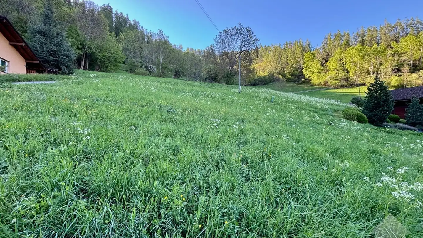 Constructible plot for sale - Brignon 1996, 1996 Brignon (Nendaz) - Photo 4