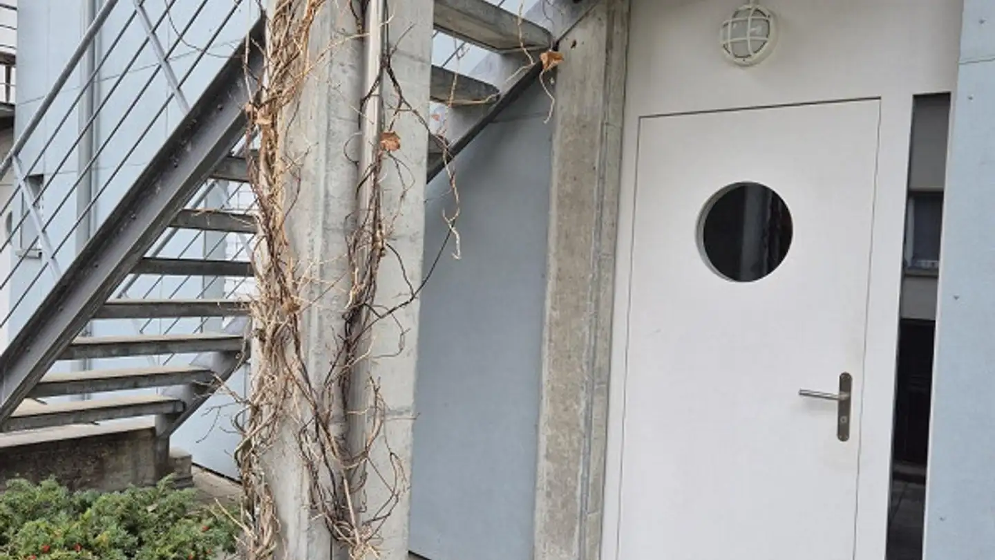 Appartement à louer - Färberstrasse 12a, 5734 Reinach AG