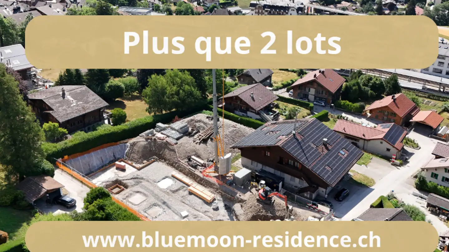 Wohnung kaufen - 1660 Château-d'Oex - Foto 3