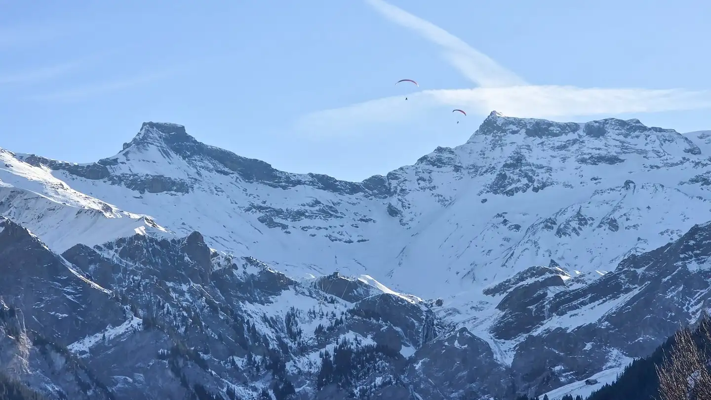 Appartement à vendre - Schwendliweg 1, 3715 Adelboden - Photo 3