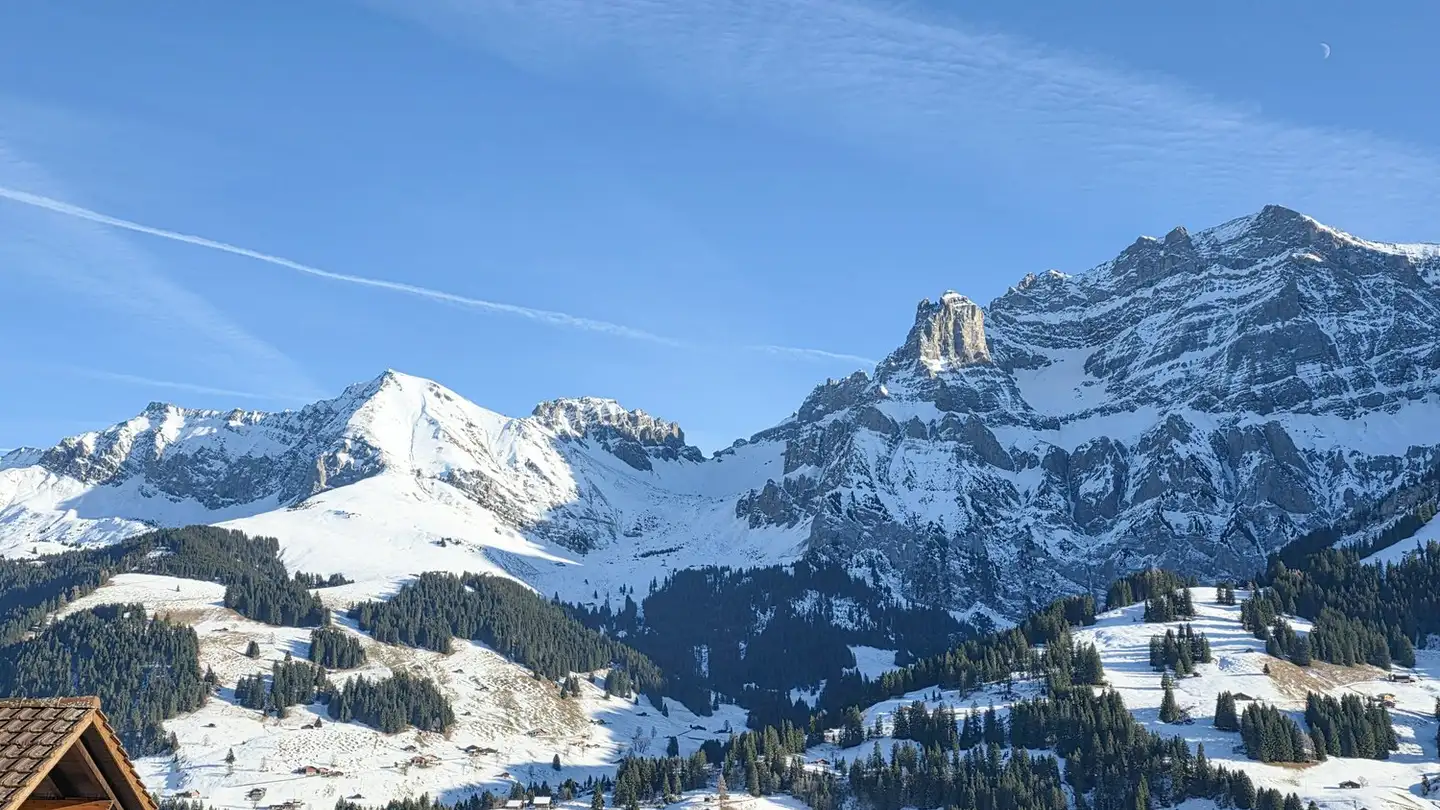 Appartement à vendre - Schwendliweg 1, 3715 Adelboden - Photo 4