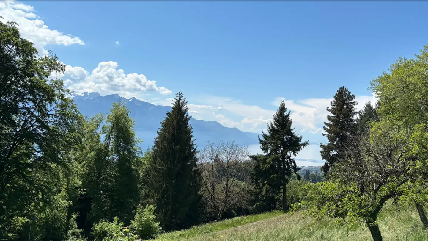 Maison jumelle à vendre - Route De Saint Légier, 1807 Blonay