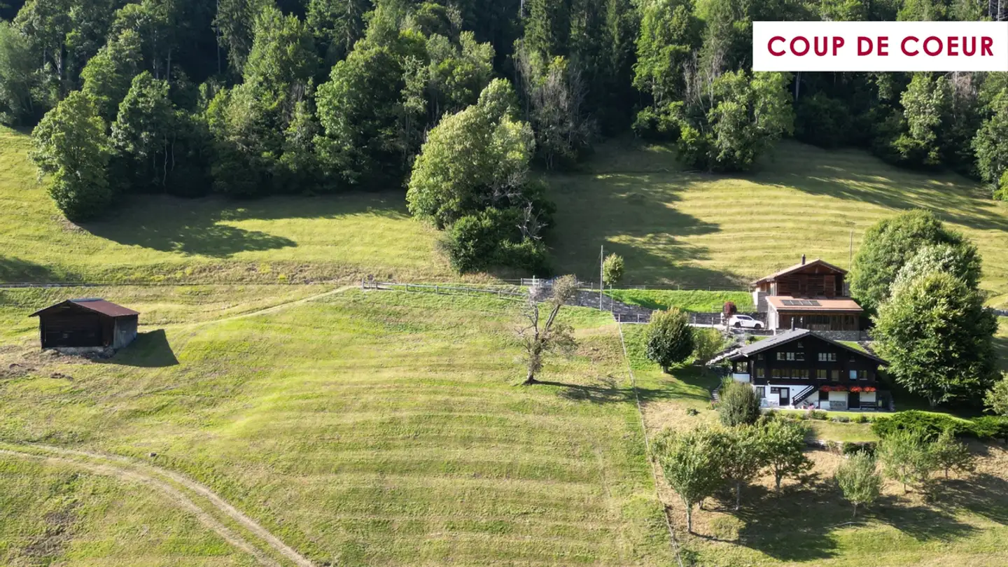 Chalet kaufen - 1659 Rougemont