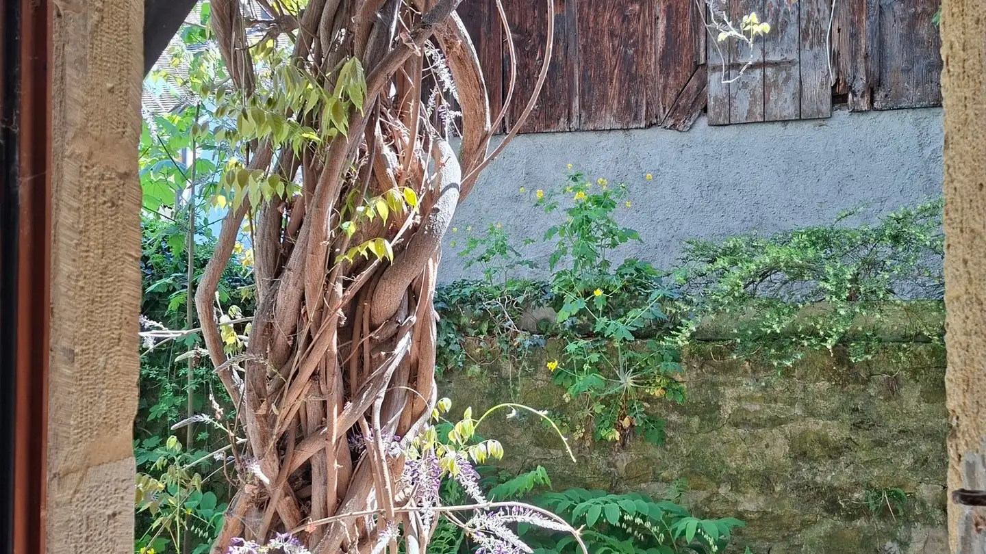 Appartement à louer - 2016 Cortaillod - Photo 3
