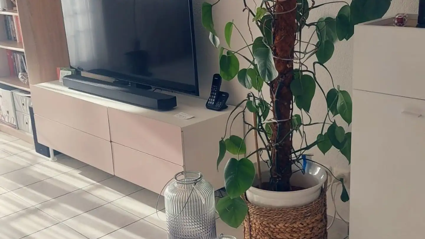 Möblierte Wohnung mieten - Amselweg 14, 5102 Rupperswil - Foto 2