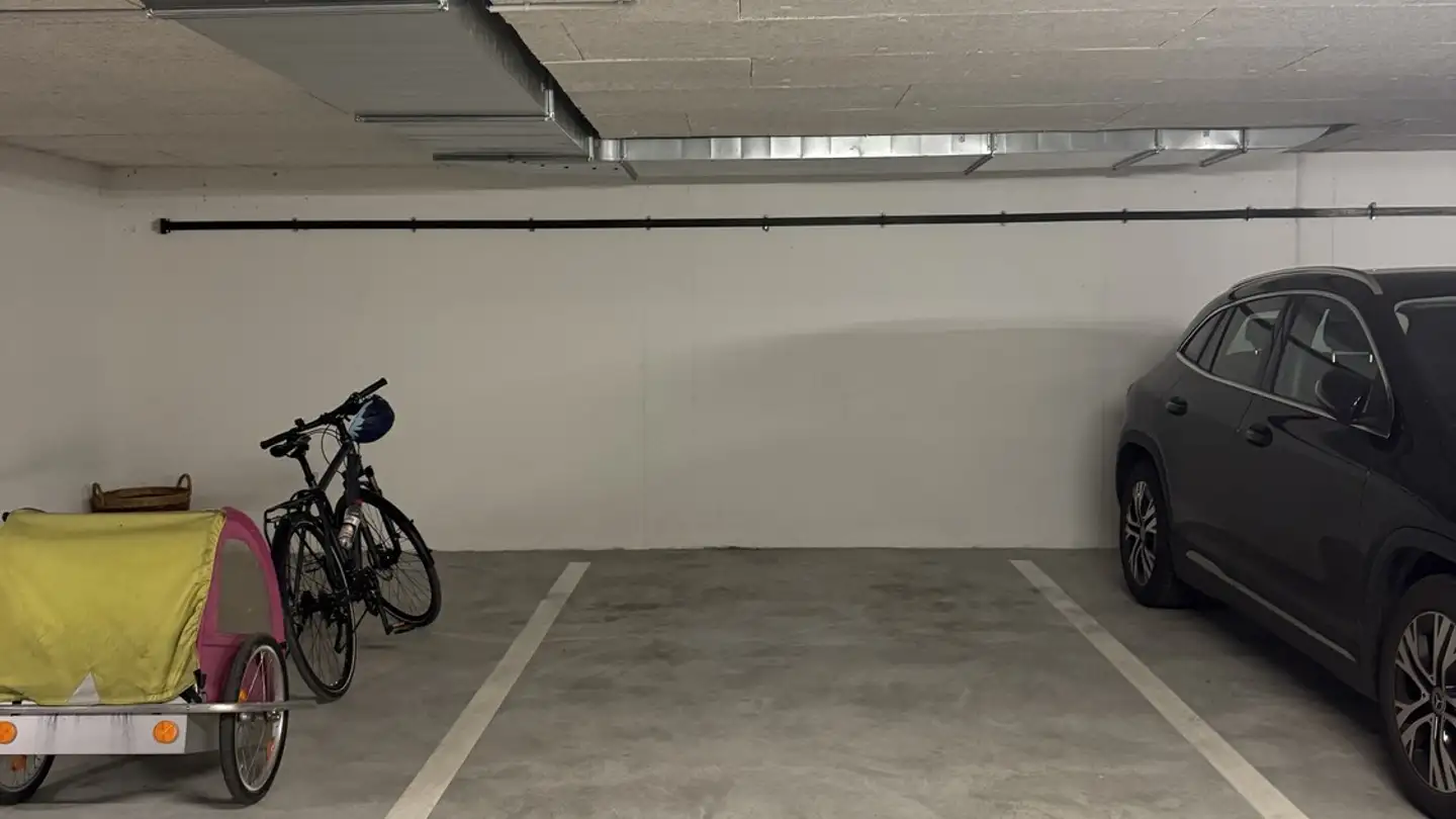 Single garage for rent - Eichrainstrasse 29, 8052 Zürich