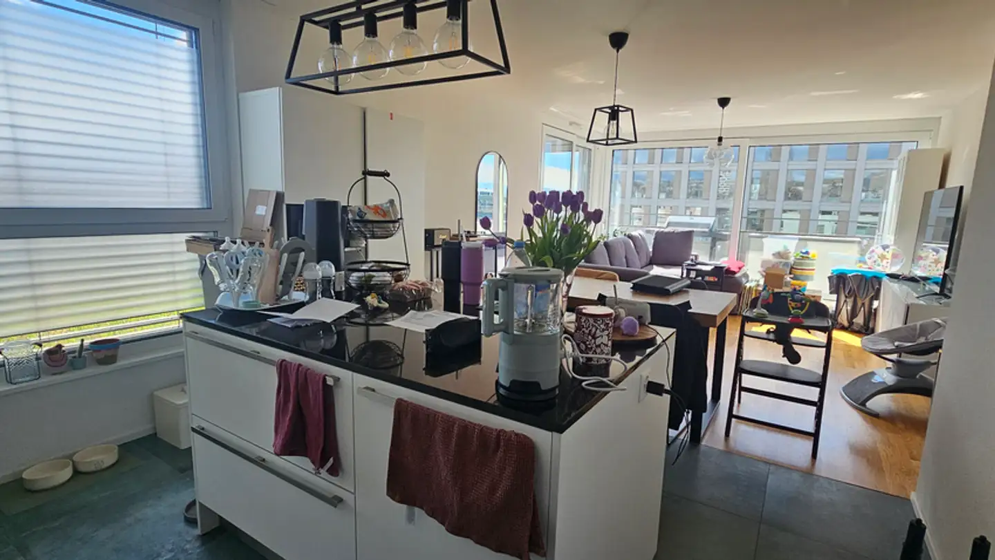 Attico in affitto - Route Des Plaines-Du-Loup 78, 1018 Lausanne - Foto 3