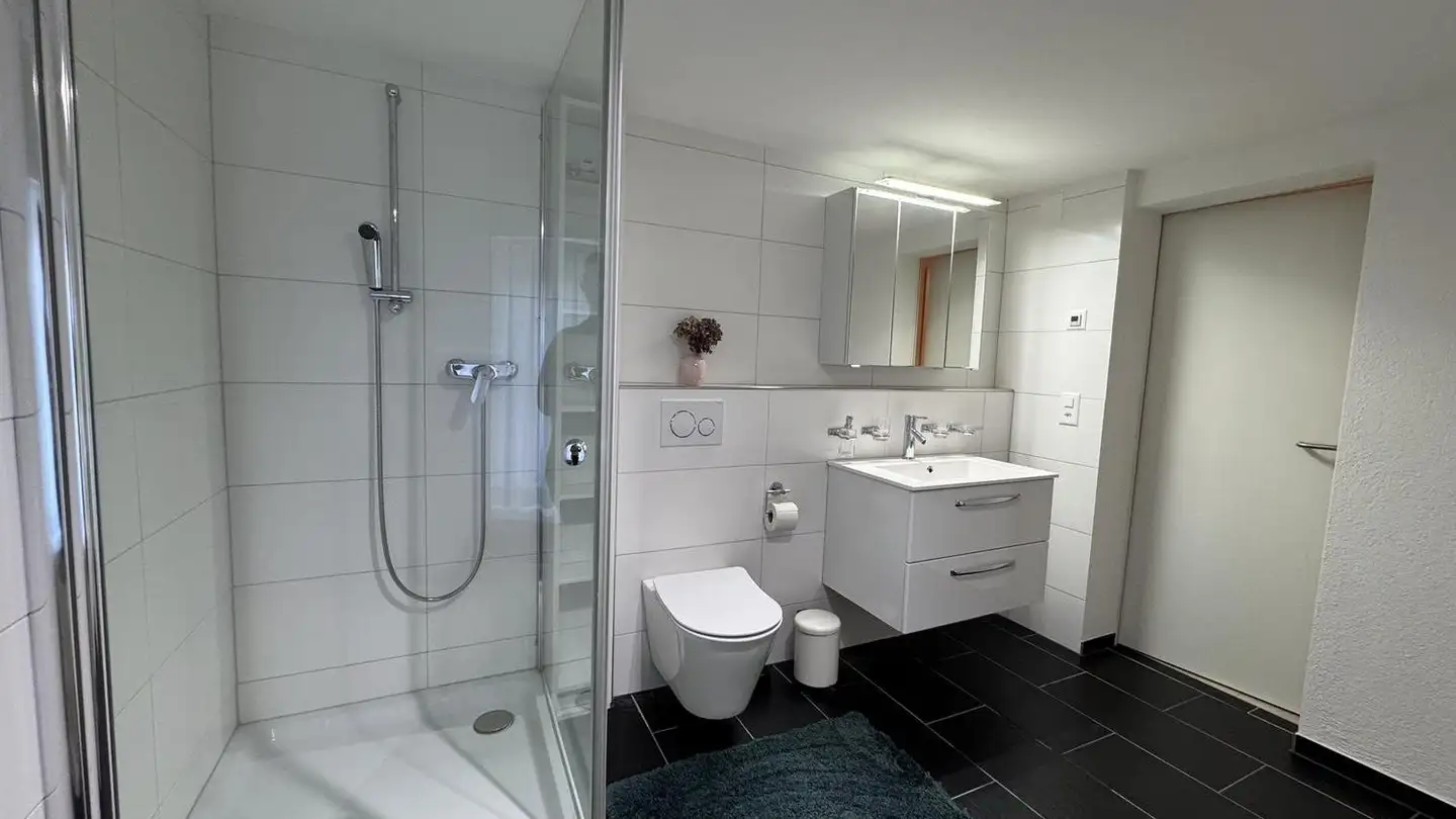 Wohnung mieten - 8810 Horgen - Foto 4