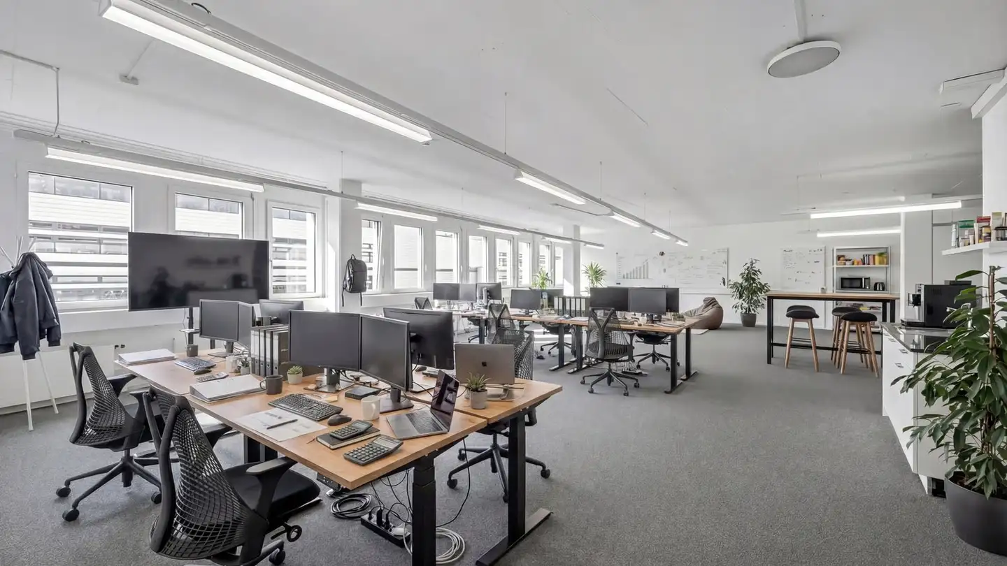 Spazio ufficio in affitto - Christoph Merian-Ring 31, 4153 Reinach BL - Foto 4