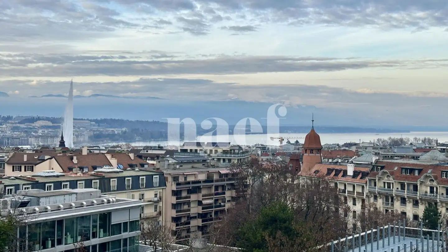 Apartment for rent - Rue Henri- Mussard 14, 1208 Genève