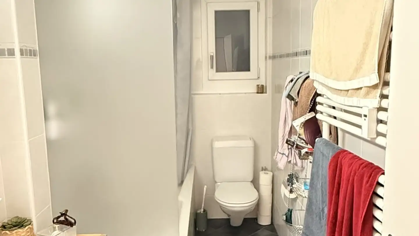 Single room for rent - Rychenbergstrasse 12, 8400 Winterthur - Photo 4