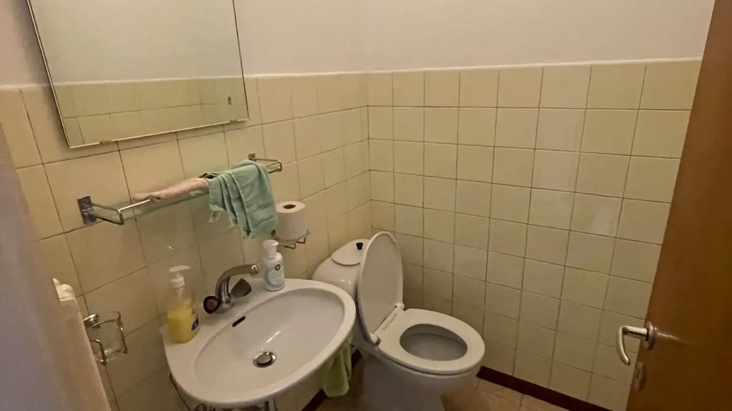 Casa singola in affitto - Via Massagno, 6900 Lugano - Photo 2