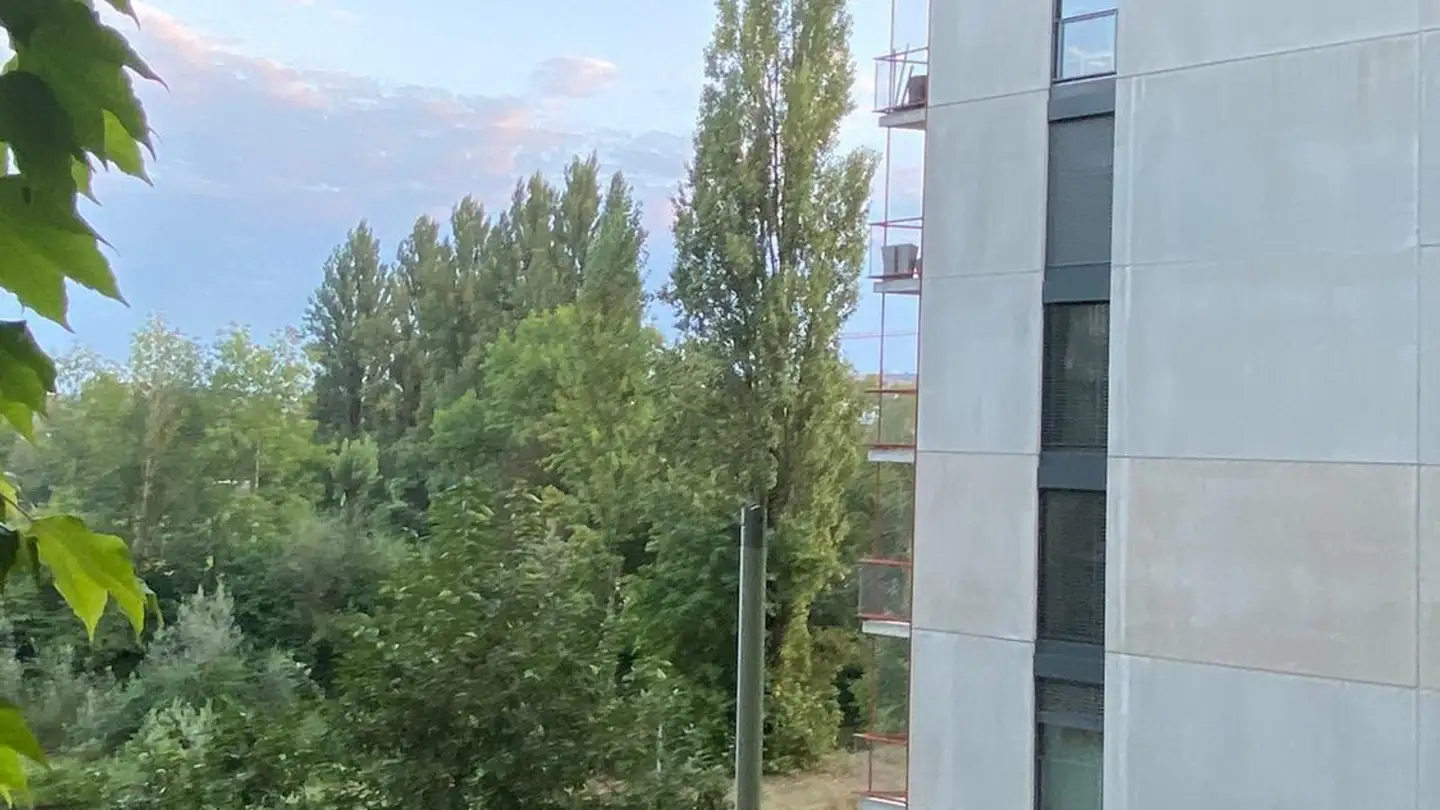 Chambre à louer - Am Wasser 15, 8600 Dübendorf - Photo 2