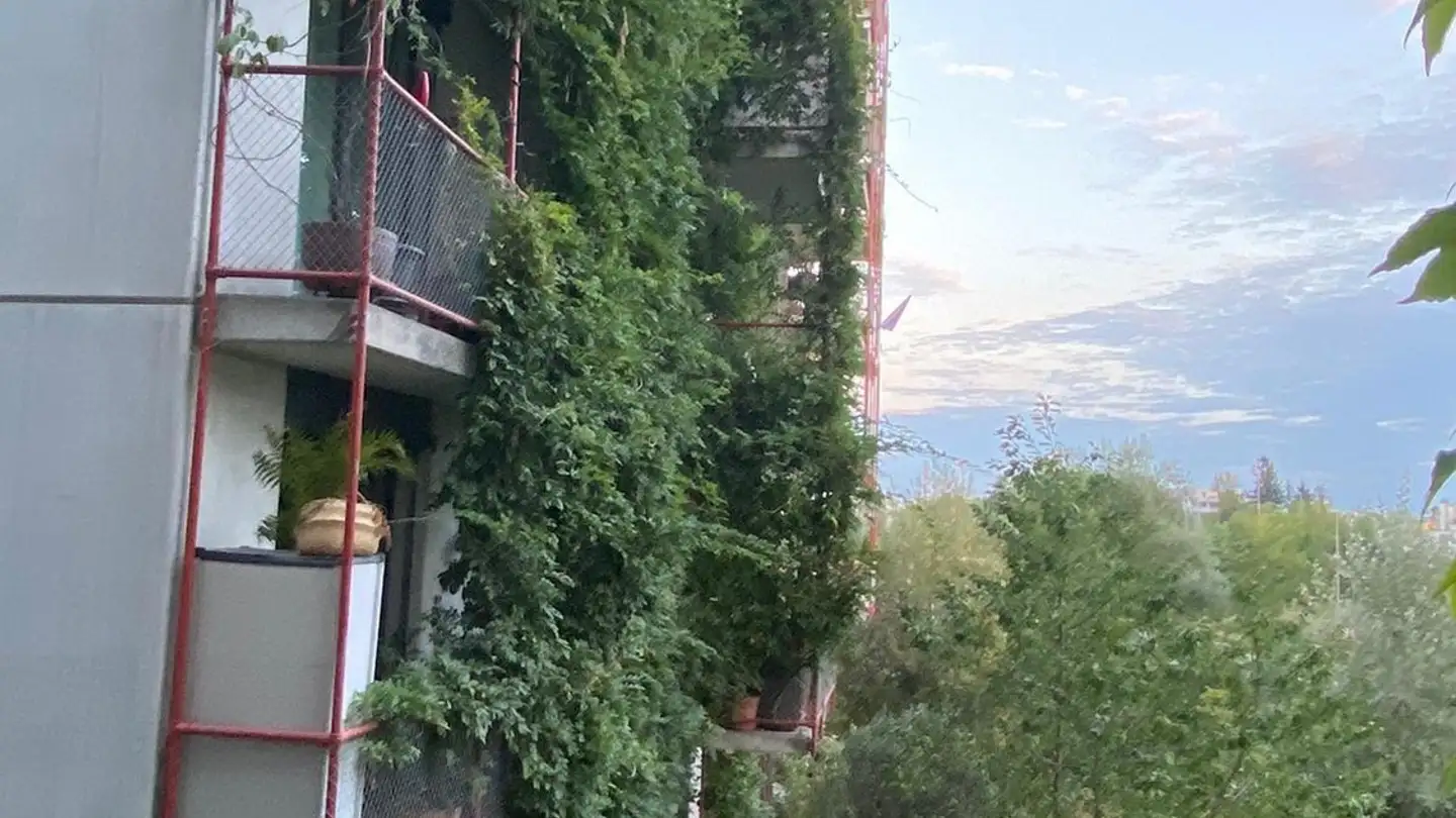 Chambre à louer - Am Wasser 15, 8600 Dübendorf - Photo 3