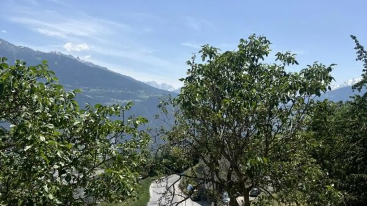 Terrain constructible à vendre - 1966 Blignou (Ayent) - Photo 2