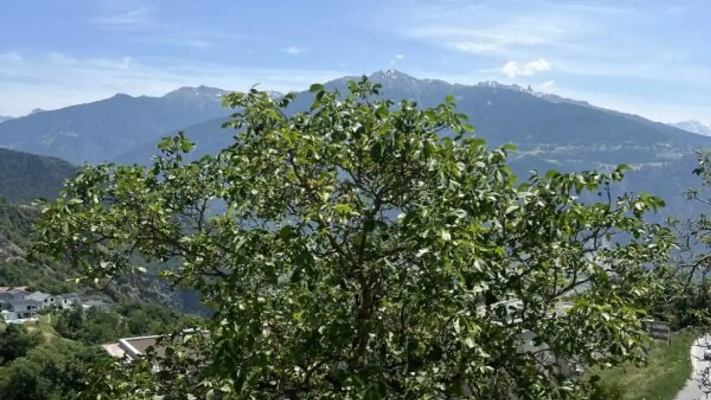 Terrain constructible à vendre - 1966 Blignou (Ayent) - Photo 3