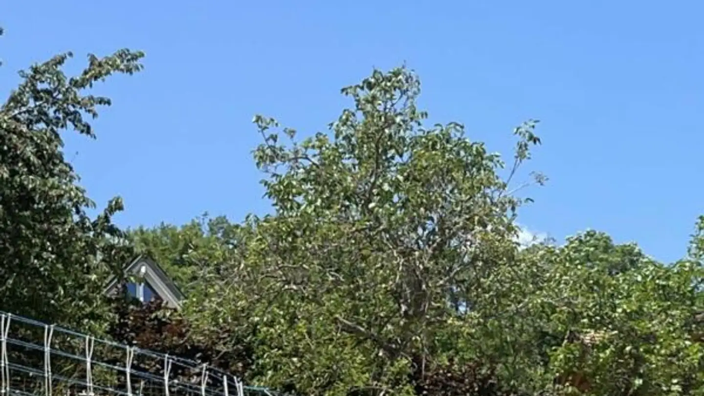 Terrain constructible à vendre - 1966 Blignou (Ayent) - Photo 4