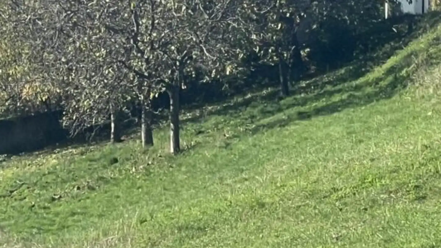 Terrain constructible à vendre - 1966 Blignou (Ayent)