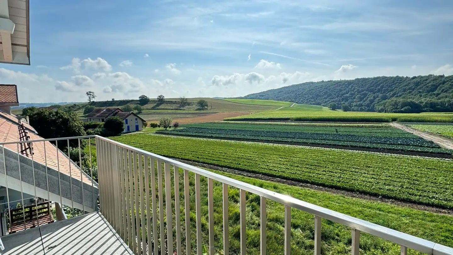 Attico in affitto - Route De La Sarraz 33d, 1317 Orny - Foto 4