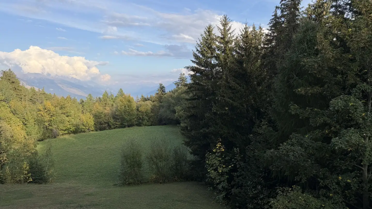 Apartment for sale - Route Des Arolles 26, 3963 Crans-Montana