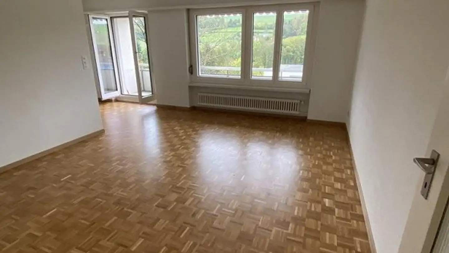 Appartamento in affitto - Steinhüslistrasse 1, 8964 Rudolfstetten - Foto 3