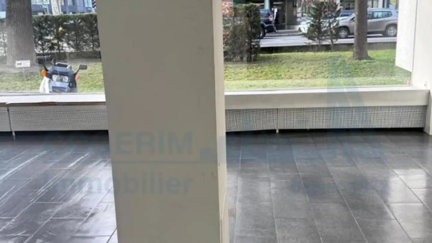 Negozio in affitto - 1219 Châtelaine