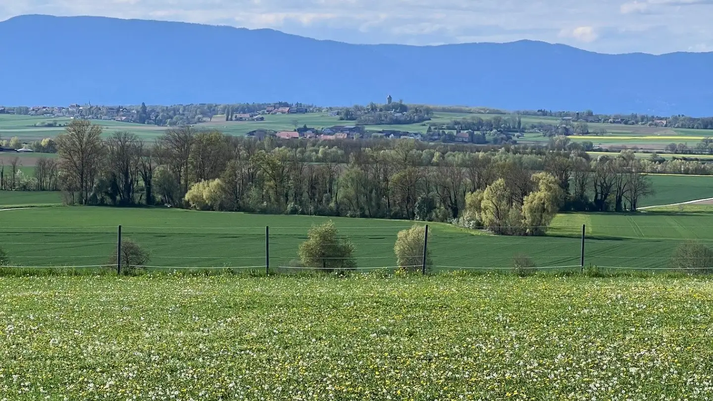 Apartment for rent - 1563 Dompierre FR