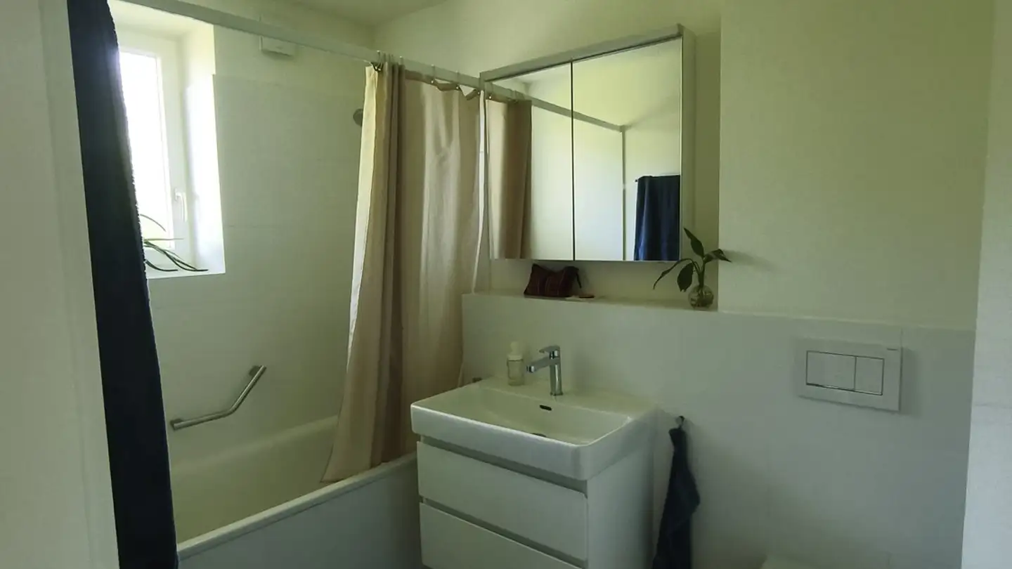 Appartement à louer - Buchzelgstrasse 9, 8053 Zürich - Photo 4