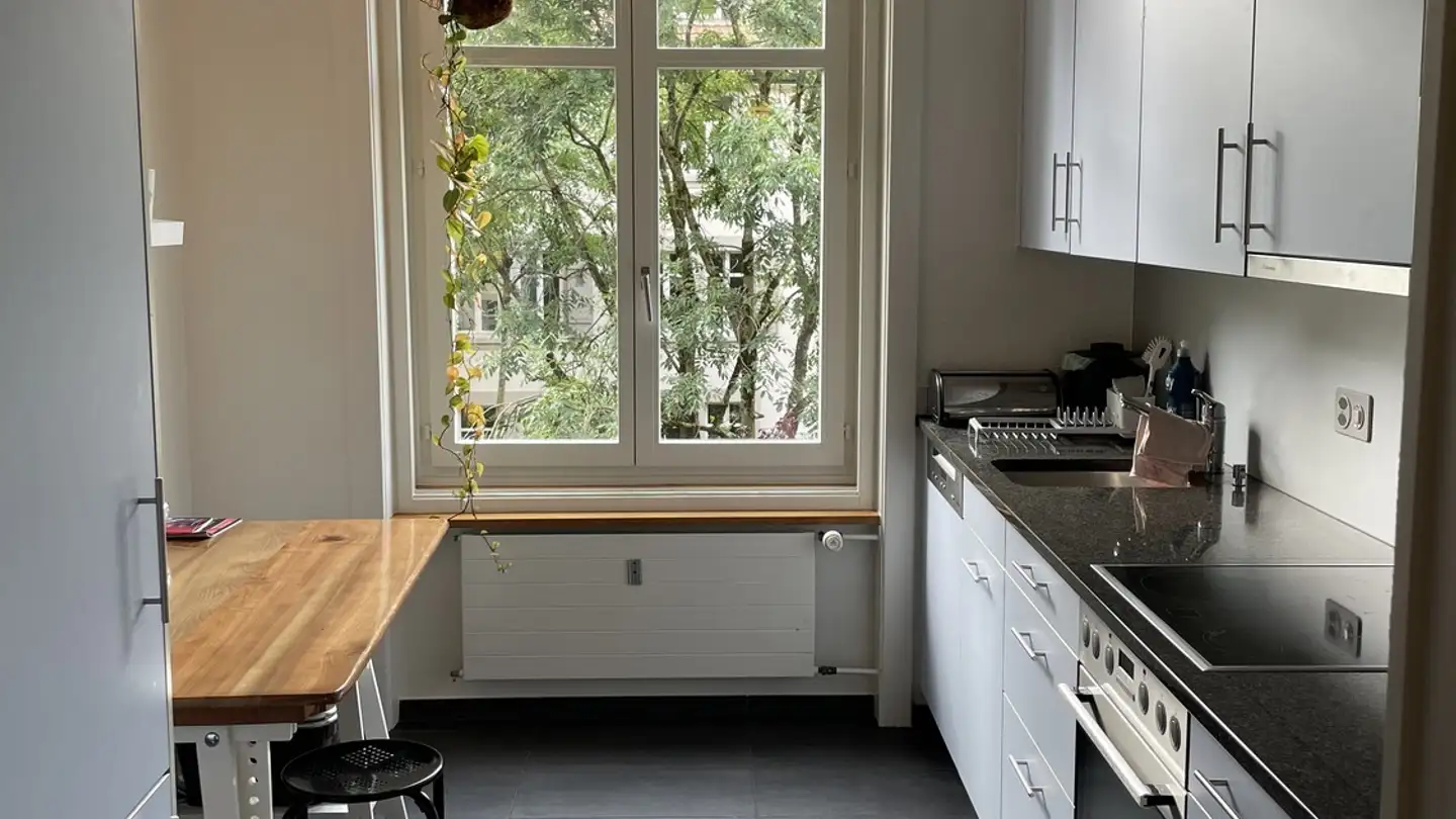 Furnished apartment for rent - Greyerzstrasse, 3013 Bern - Photo 4