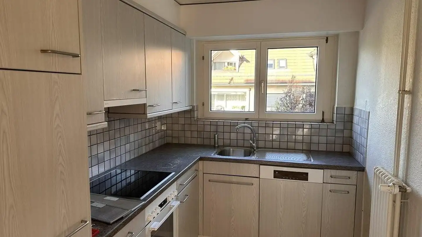 Appartamento in affitto - Obere Reppischstrasse 35, 8953 Dietikon - Foto 2