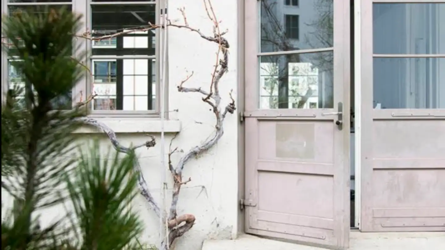 Bürofläche mieten - Schweighofstrasse 409, 8055 Zürich - Foto 4