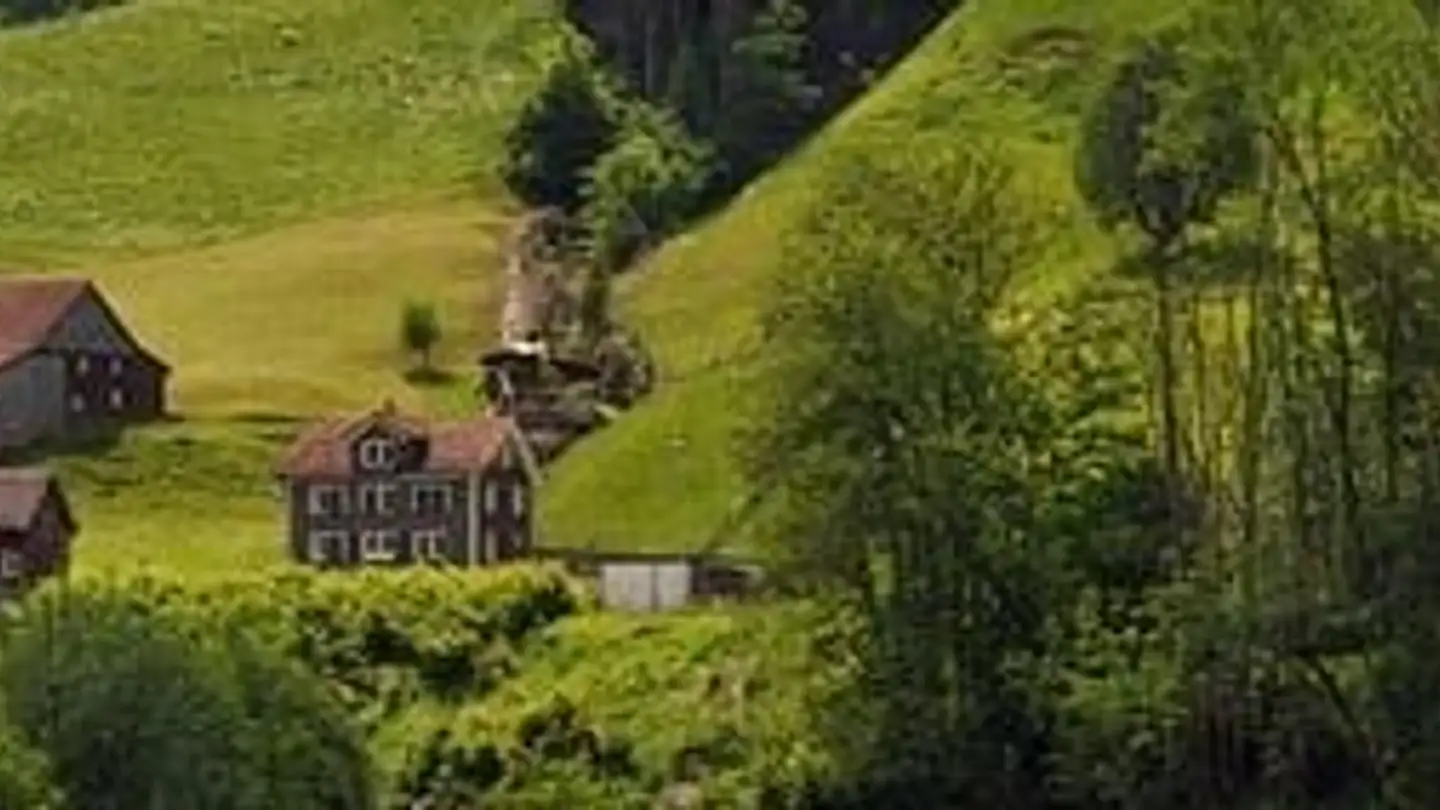 Bauernhof kaufen - 9642 Ebnat-Kappel - Foto 3
