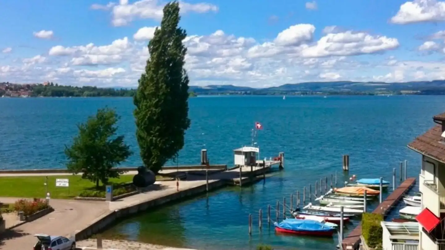 Negozio in affitto - Seestrasse 64, 8267 Berlingen - Foto 3