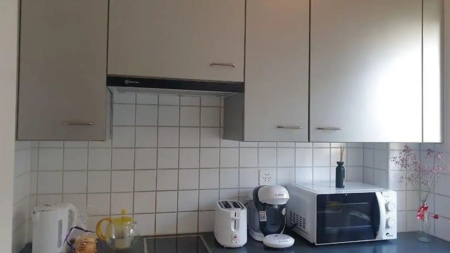 Appartement meublé à louer - 3007 Bern - Photo 4