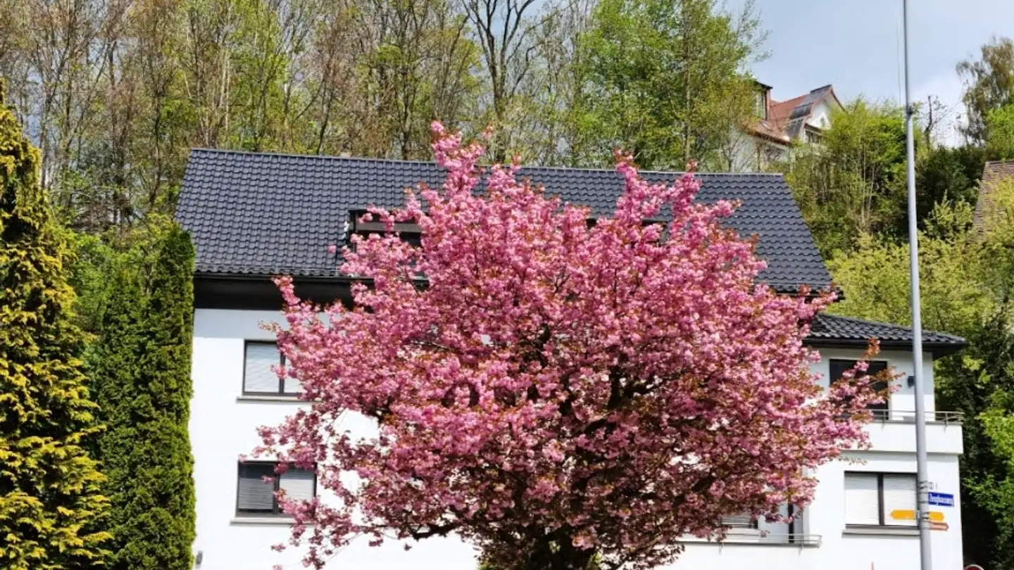 Stanza singola in affitto - 9100 Herisau