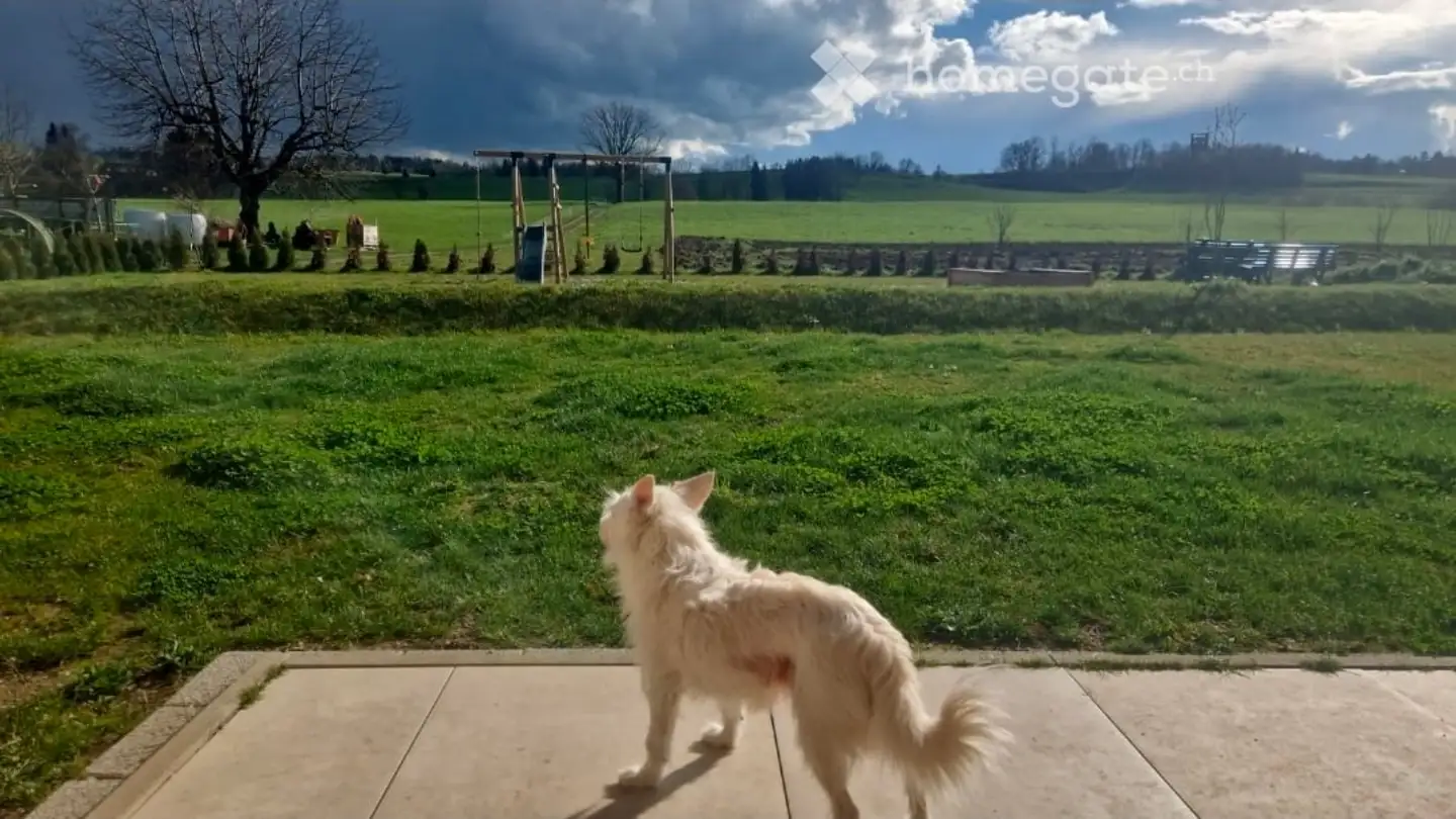 Apartment for rent - Weinfelderstrasse 85, 8580 Amriswil